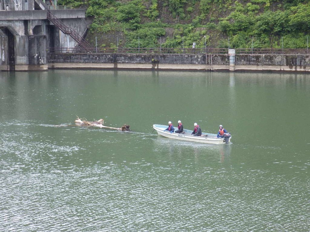 東京電力･西大滝ダムでの流木引き揚げ作業 